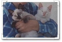 Hi! We're the babies!
