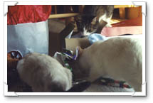 Oh boy, presents!!