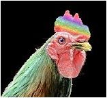 A big cock