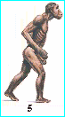 Christian evolution