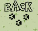 backbutton