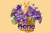 homebutton4