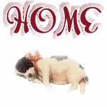 homebutton