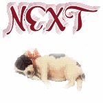 nextbutton