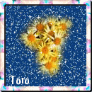 From Toto
