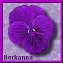 From Berkanna