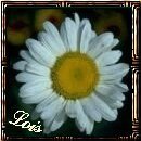 From Lois
