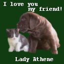 From Lady Athene