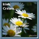 From Irish Cream