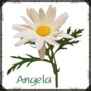 From Angela