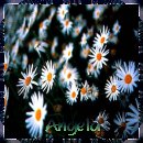 From Angela