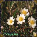 From Angela