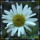From Angela