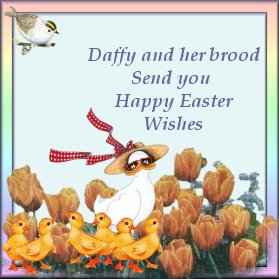 From Daffy