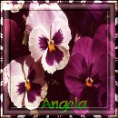 From Angela