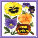 From Irish Cream