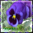 From Angela