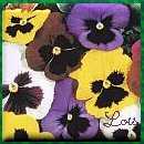 From Lois