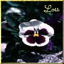 From Lois