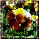 From Angela