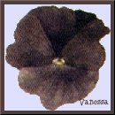 From Vanessa