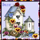 From Suzie