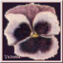 From Vanessa