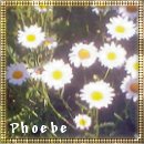 From Phoebe