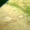 july 98 utah