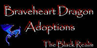 Go here to adopt your own dragon like Machiediel!