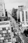 paulista09.JPG (25153 bytes)