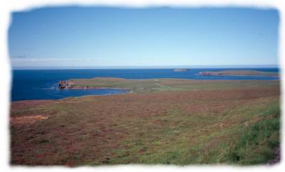 Icelandic coast