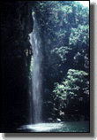 Falls