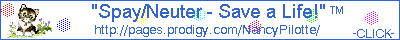 npbanr.gif (3104 bytes)
