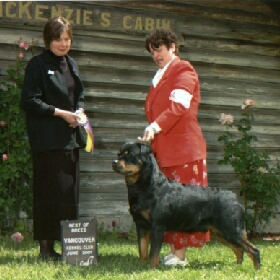 Cody going Best of Breed