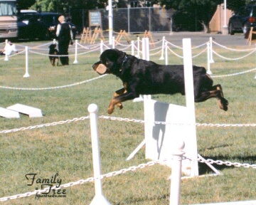 Going over the high jump