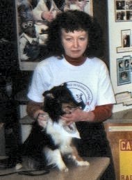 Cin7thgrdThDogScienceProject.jpg (14364 bytes)