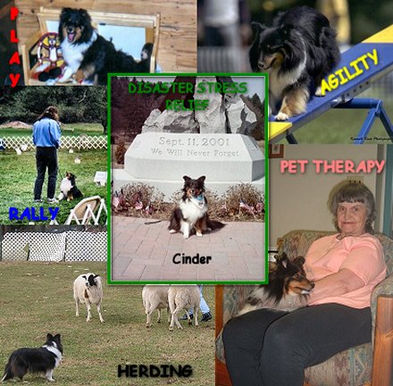 Cinder_Collage.jpg (64084 bytes)