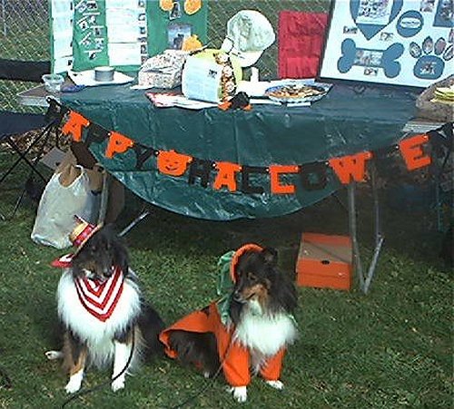 PETSPA1.jpg (78291 bytes)