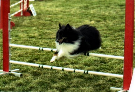 PiercerREDJUMP.jpg (37235 bytes)