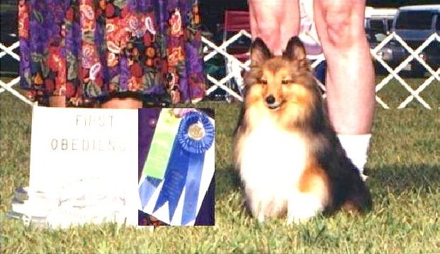 mishfirstCDXleg.jpg (61926 bytes)