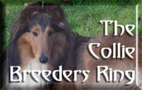 Visit this Ring's Home Page!
