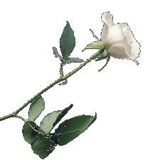 Between You And I