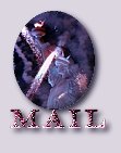 Mail