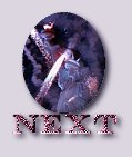 Next