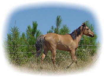 Hally&nbsp; 7-05