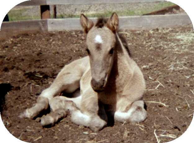 Tori&nbsp; 10&nbsp; Days