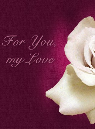 My Favorite Color Rose