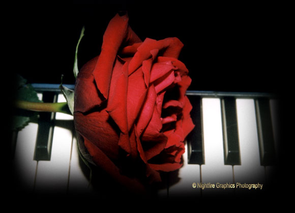 We All Need Music In Our Souls