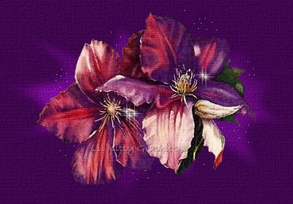 Know your color is purple